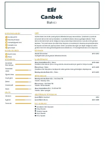 Bakıcı Cv Örnekleri cv indir